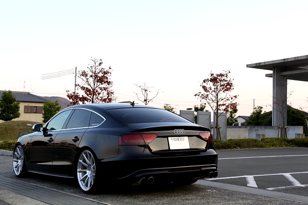 Audi A5/8T SB
