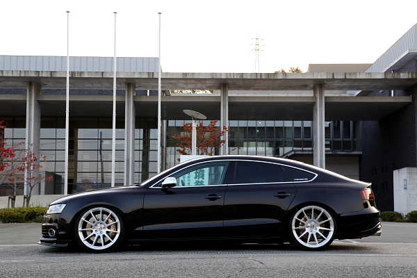 Audi A5/8T SB
