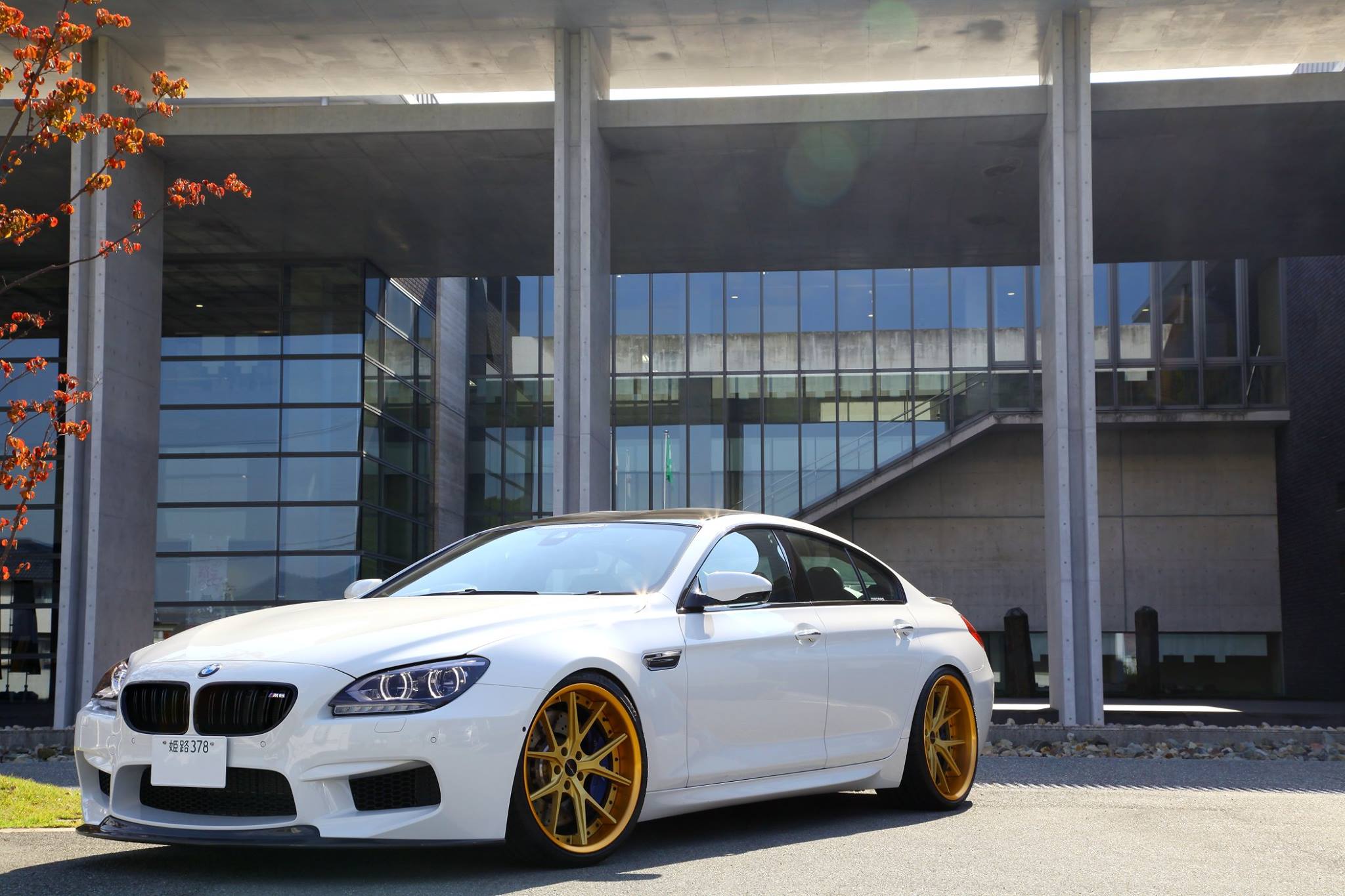 BMW M6/F06 GranCoupe