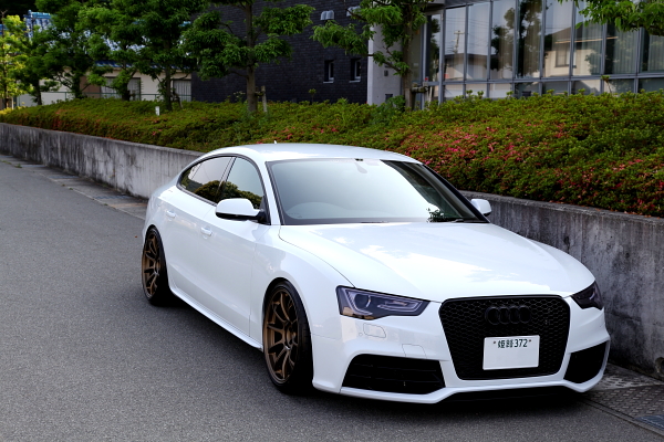 Audi A5/B8.5 2.0TQ SB