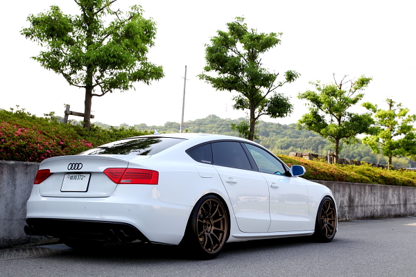 Audi A5/B8.5 2.0TQ SB
