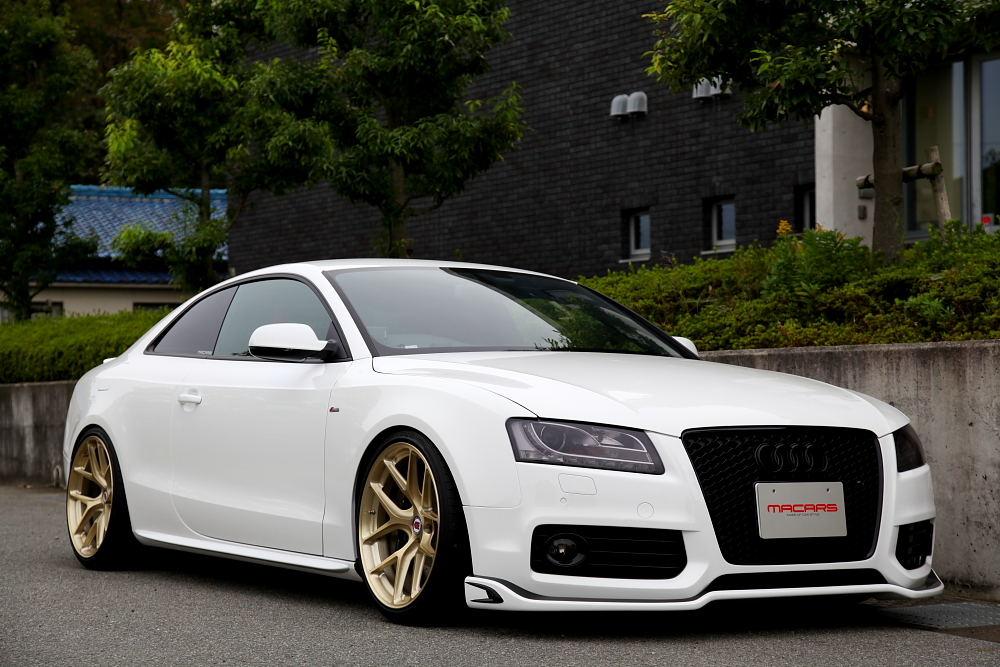 Audi A5/B8 2.0TQ Coupe