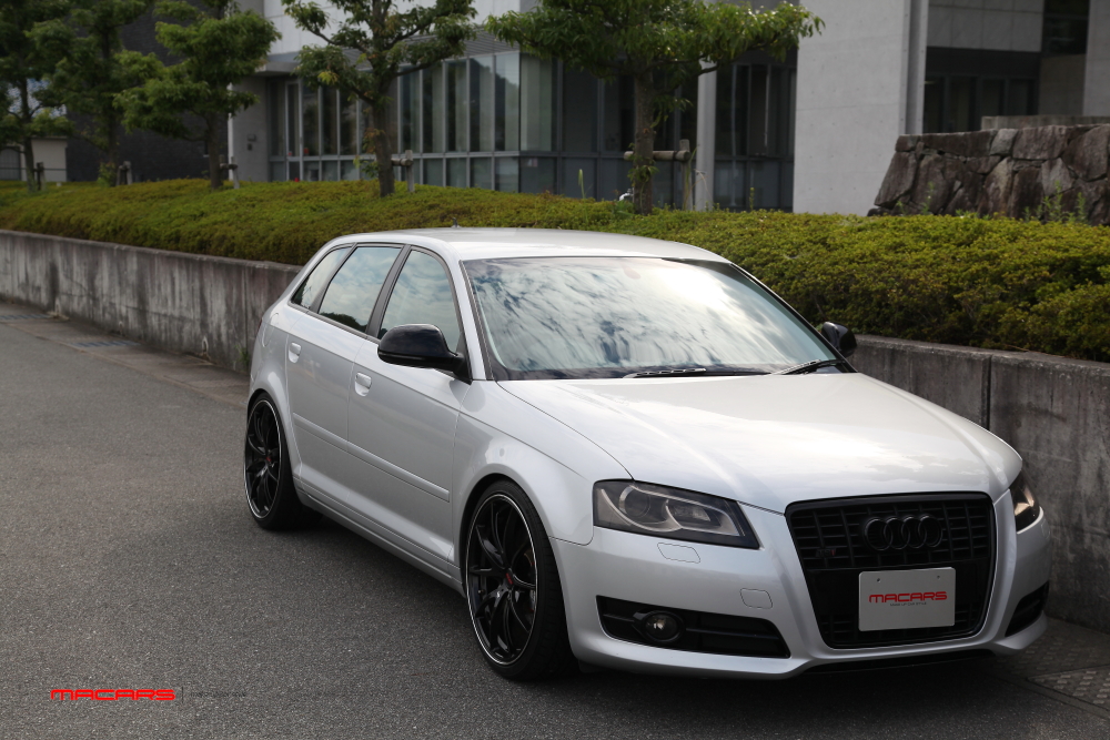 Audi A3/8P