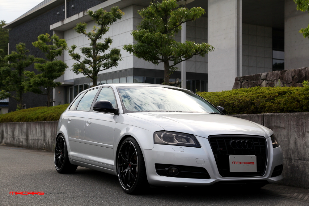 Audi A3/8P