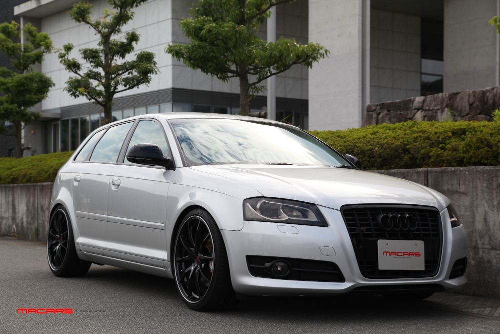 Audi A3/8P