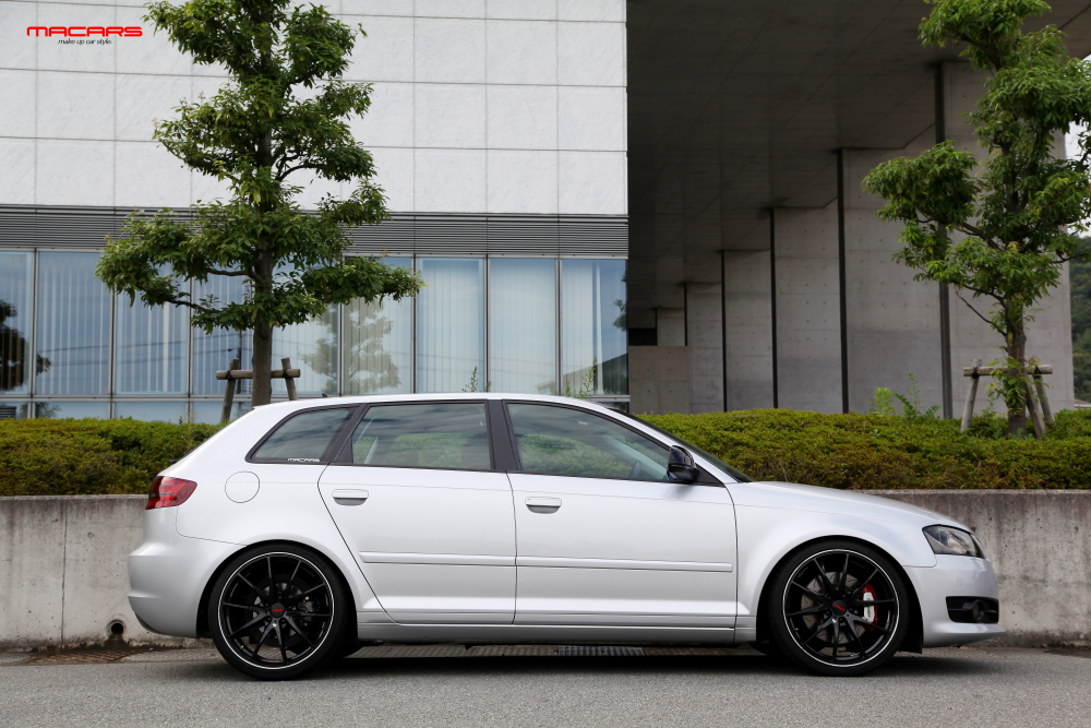 Audi A3/8P