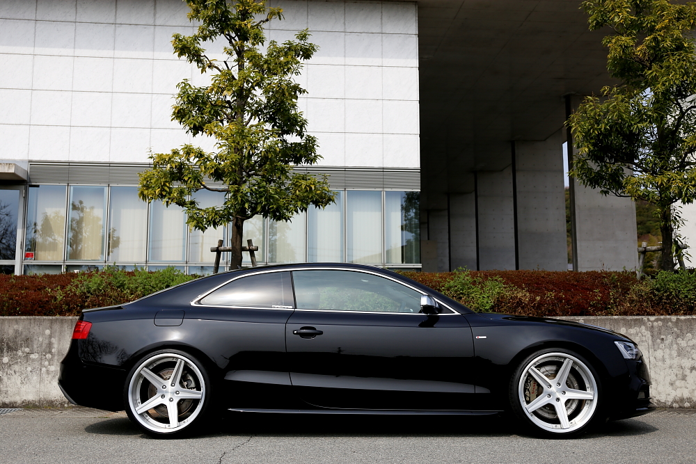 Audi A5/B8.5 Coupe
