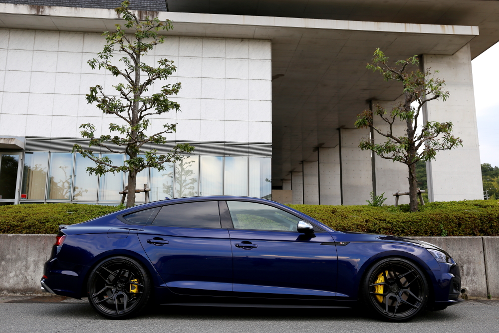 Audi S5/B9 SB