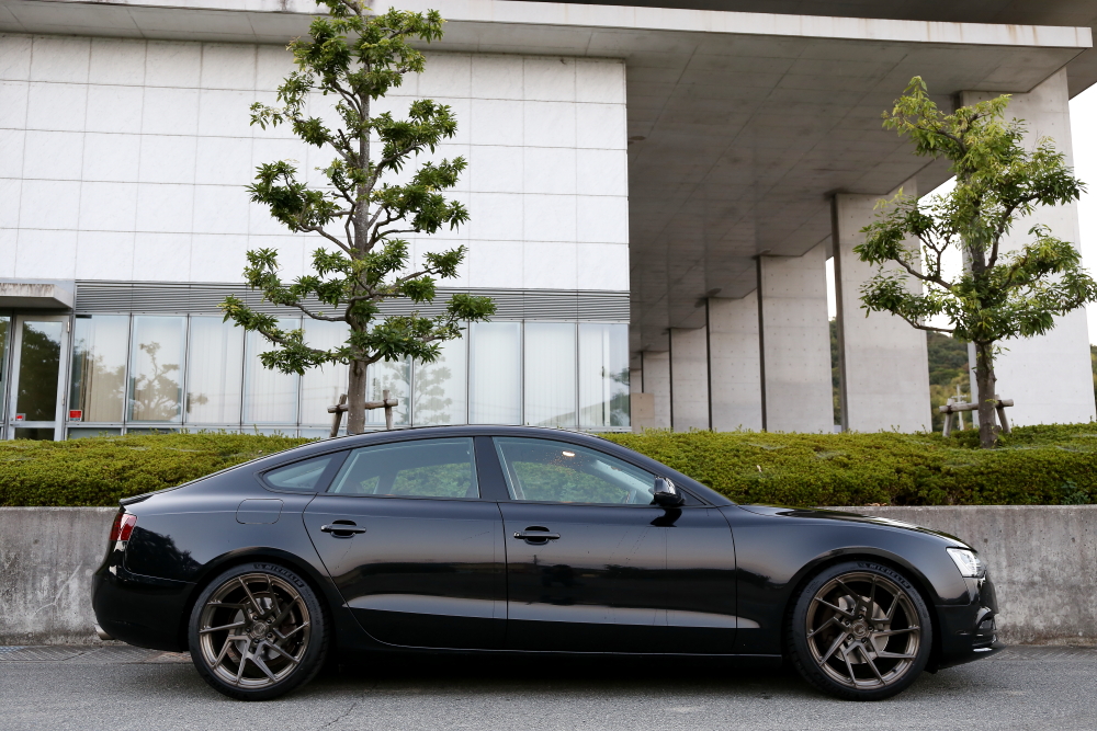 Audi A5/B8.5 SB